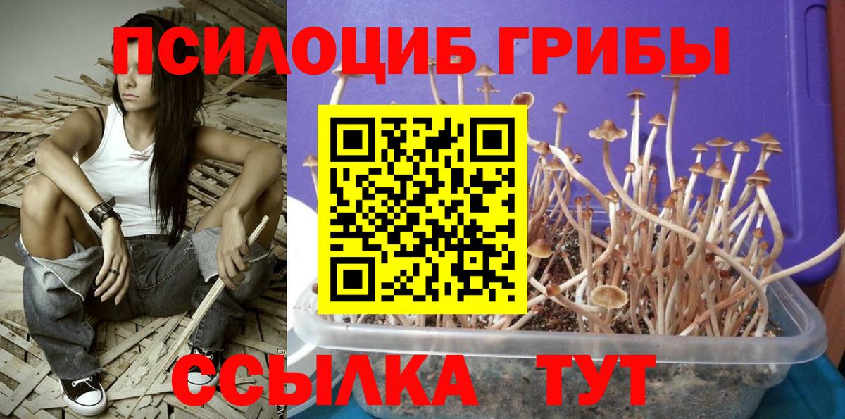 Галлюциногенные грибы Magic Shrooms Камышин