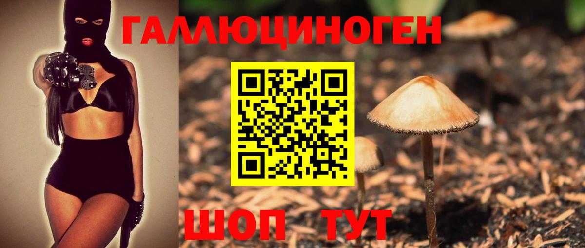 Камышин  Галлюциногенные грибы MAGIC MUSHROOMS  Псилоцибиновые грибы Psilocybine cubensis  Вход с VPN 