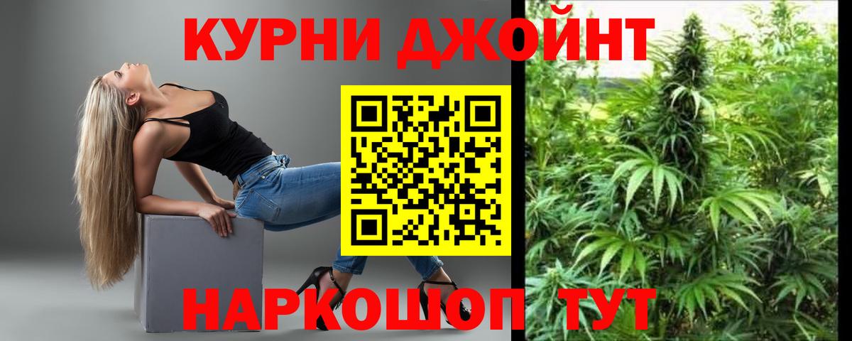 Марихуана план  Каннабис Ganja  Вход с VPN  Камышин  Шишки марихуана семена  Каннабис марихуана 